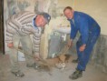 /album/koniec-seb-v-trstenej-a-ako-vznikali-nove-priestory/img-9025-jpg/
